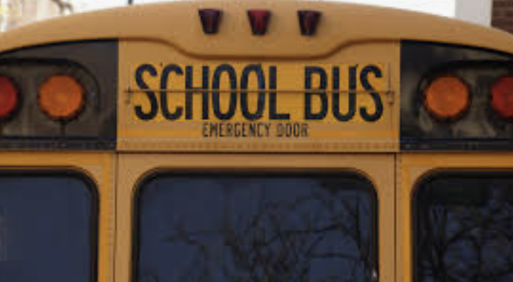 Bus